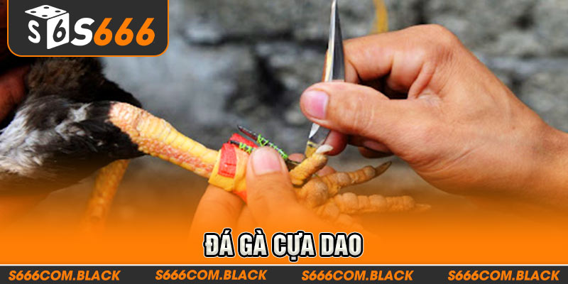 3-da-ga-cua-dao